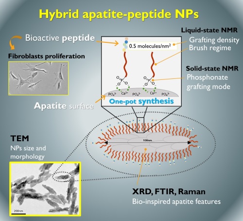peptide